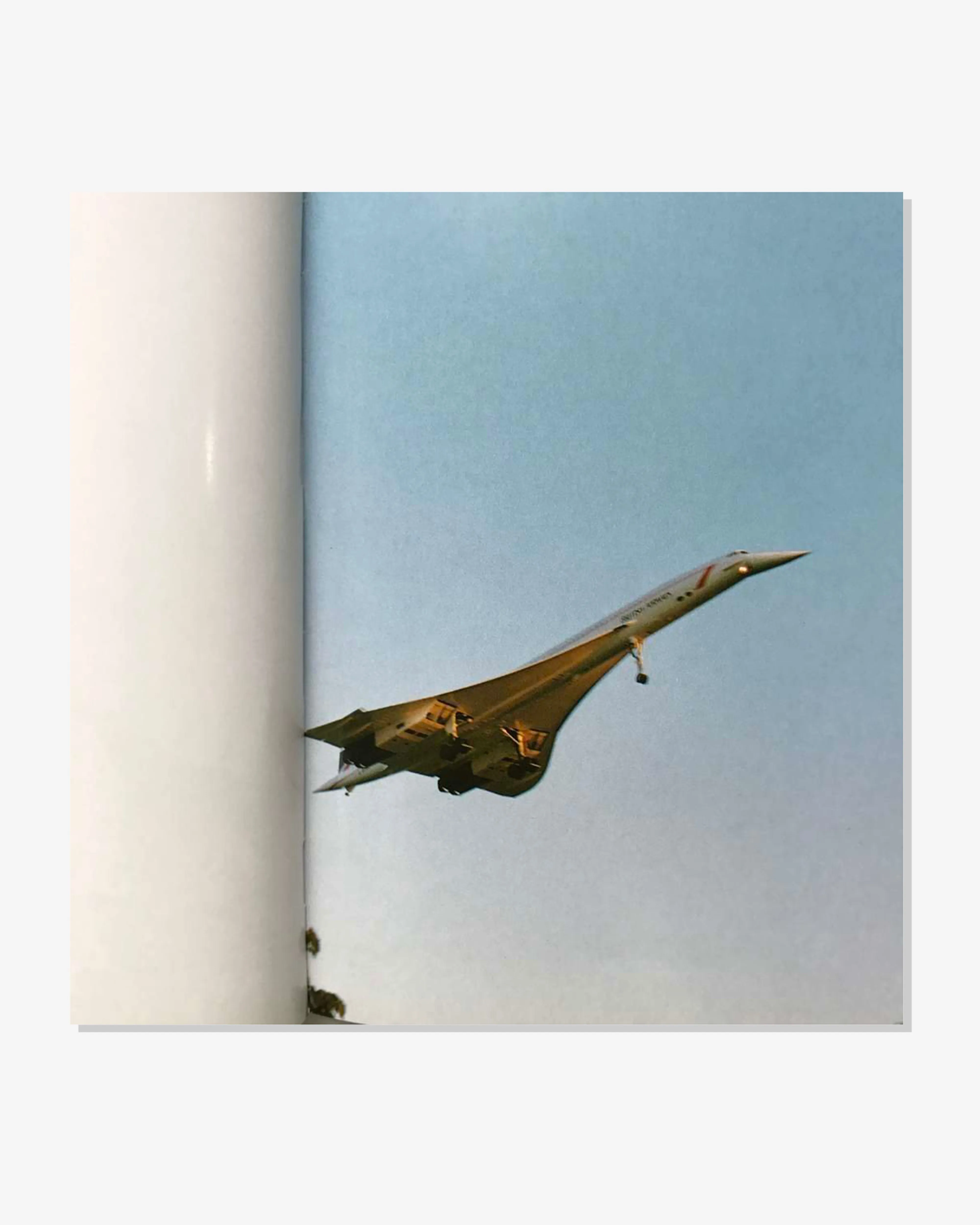 Idea - Wolfgang Tillmans Concorde - (Multi)